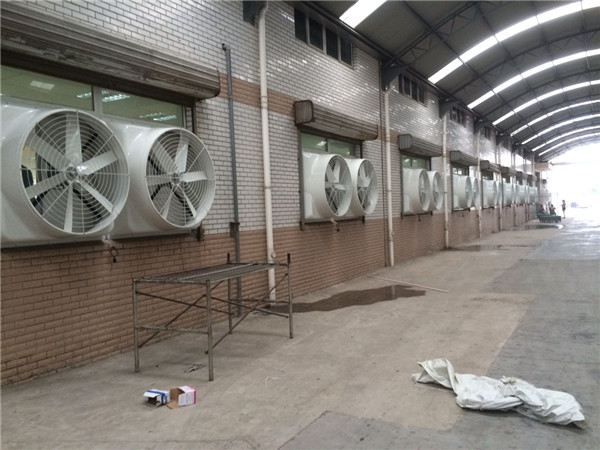 ؓ���L(f��ng)�C����